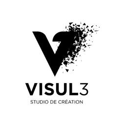 Visul3